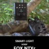 Smart Light Fox Ntx-r